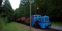 2012-06-04_Loessnitzgrund_9621.JPG