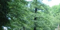 2012-06-16_Grundmuehle_1643.JPG