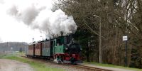 2014-04-17_Berbisdorf_0623.JPG