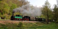 2014-04-19_Ostern_Friedewald_Hp_4079.JPG
