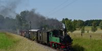 2014-06-08_Moritzburg_6917_0002.JPG