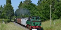 2014-06-08_Moritzburg_6984_0002.JPG