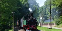 2014-06-09_Friedewald_Hp_6991_0002.JPG