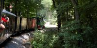 2014-07-06_Friedewald_Hp_4891a.JPG