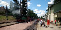 2014-07-06_Moritzburg_4988a.JPG