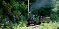 2014-07-19_Goldstampe_5585.JPG