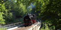 2014-07-19_Rabenauer_Grund_5515.JPG