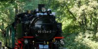 2014-07-19_Seifersdorf_5639.JPG