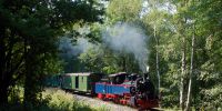 2014-07-19_Seifersdorf_5661.JPG