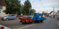 2014-09-18_Weisses_Ross_7602.JPG