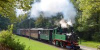2014-09-20_Loessnitzgrund_RK_5699.JPG
