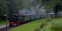 2014-09-20_Loessnitzgrund_RK_5799.JPG