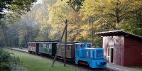 2014-10-25_Fisch-_und_Waldfest_RK_7268.JPG