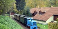 2014-10-26_Fisch-_und_Waldfest_RK_7377.JPG