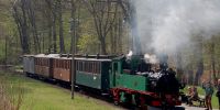 2015-04-17_Loessnitzgrund_0483.JPG