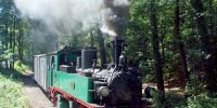 2015-06-06_40_Jahre_TRR_2151.JPG