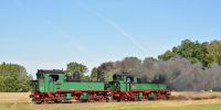 2015-06-06_JJ_006_4317_Nr_176_und_Nr_132_als_Lzz4029_zwischen_Berbisdorf_und_Baernsdorf.jpg