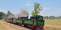 2015-06-06_JJ_012_Nr_132_und_Nr_176_mit_TRR4031_zwischen_Berbisdorf_und_Baernsdorf.jpg