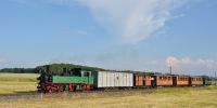 2015-06-06_JJ_016_Nr_176_mit_TRR4040_kurz_vor_Berbisdorf.jpg