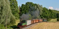 2015-06-06_JJ_017_Nr_176_mit_TRR4040_kurz_vor_Radeburg.jpg