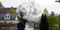 2015-10-25_Fisch-_und_Waldfest_RK_8611.JPG