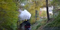 2015-10-25_Fisch-_und_Waldfest_RK_8621.JPG