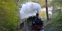 2015-10-25_Fisch-_und_Waldfest_RK_8631.JPG