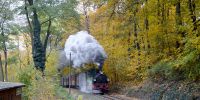 2015-10-25_Fisch-_und_Waldfest_RK_8661.JPG
