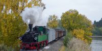2015-10-25_Fisch-_und_Waldfest_RK_8691.JPG
