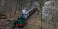 2016-03-27_Osterhasenexpress_TRR_RK_5078.JPG