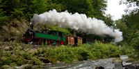 2016-07-16_Weisseritztalbahn_LK_0800.JPG