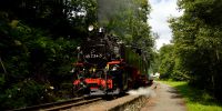 2016-07-16_Weisseritztalbahn_LK_0822.JPG