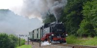 2016-07-17_Weisseritztal_RK_3604.JPG