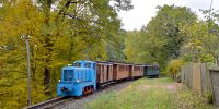 2016-10-29_Fisch-_und_Waldfest_TRR_RK_2862.JPG