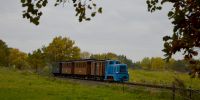2016-10-29_Fisch-_und_Waldfest_TRR_RK_2892.JPG