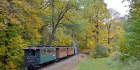 2016-10-29_Fisch-_und_Waldfest_TRR_RK_2947.JPG
