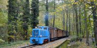 2016-10-29_Fisch-_und_Waldfest_TRR_RK_2958.JPG
