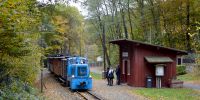 2016-10-29_Fisch-_und_Waldfest_TRR_RK_2967.JPG
