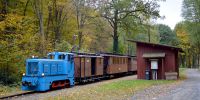 2016-10-29_Fisch-_und_Waldfest_TRR_RK_2975.JPG