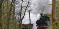 2017-04-17_2134_Osterhasenexpress_TRR.JPG