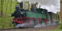 2017-04-17_2140_Osterhasenexpress_TRR.JPG