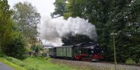 2017-09-16_RK_4385_Festival_Loessnitzgrund.JPG