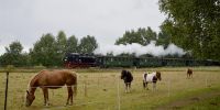 2017-09-16_RK_4408_Festival_Loessnitzgrund.JPG