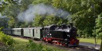 2017-09-17_DP_6836_Festival_Loessnitzgrund.JPG