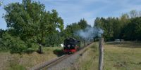 2017-09-17_DP_6892_Festival_Loessnitzgrund.JPG