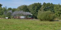 2017-09-17_DP_6943_Festival_Loessnitzgrund.JPG
