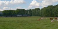 2017-09-17_DP_7030_Festival_Loessnitzgrund.JPG