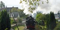 2017-09-17_RK_4612_Festival_Loessnitzgrund.JPG