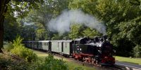 2017-09-17_RK_4621_Festival_Loessnitzgrund.JPG