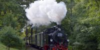 2017-09-17_RK_4632_Festival_Loessnitzgrund.JPG